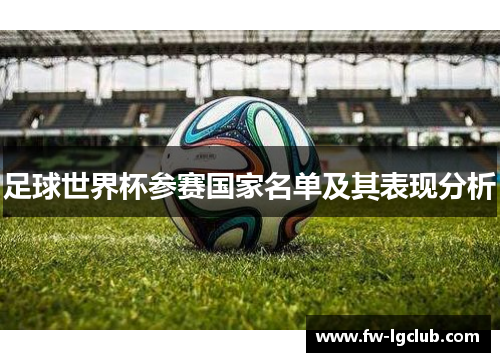 足球世界杯参赛国家名单及其表现分析