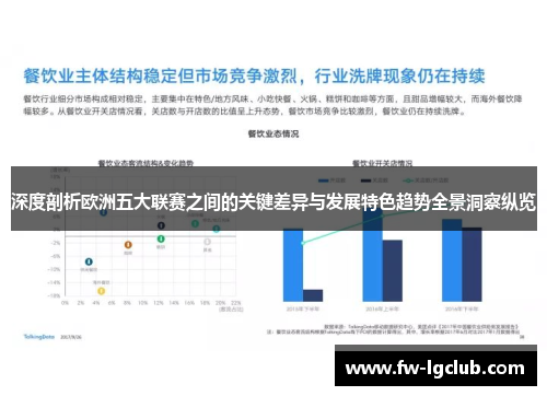 深度剖析欧洲五大联赛之间的关键差异与发展特色趋势全景洞察纵览