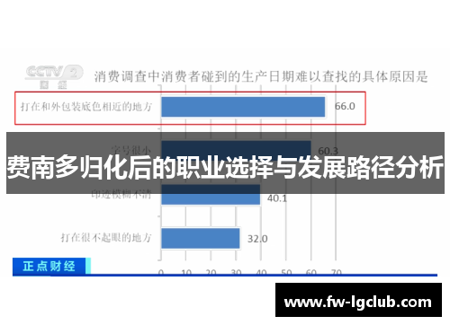 费南多归化后的职业选择与发展路径分析