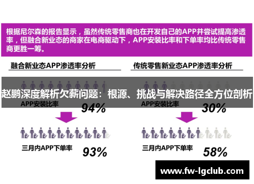 赵鹏深度解析欠薪问题：根源、挑战与解决路径全方位剖析