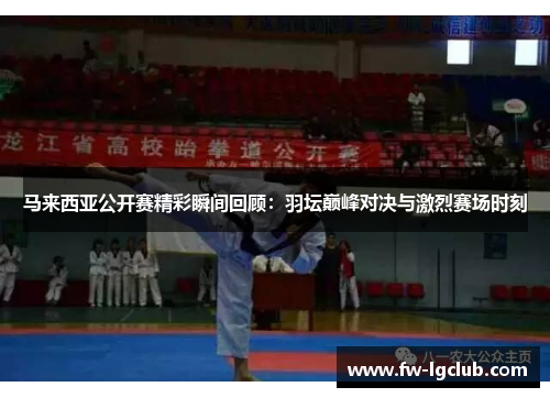马来西亚公开赛精彩瞬间回顾：羽坛巅峰对决与激烈赛场时刻